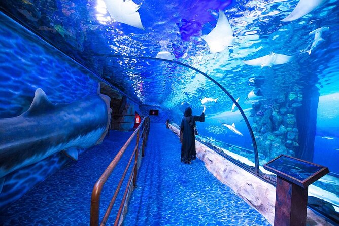 Dubai Aquarium and Underwater Zoo Admission Ticket With Options - Meeting Point and Pickup Details