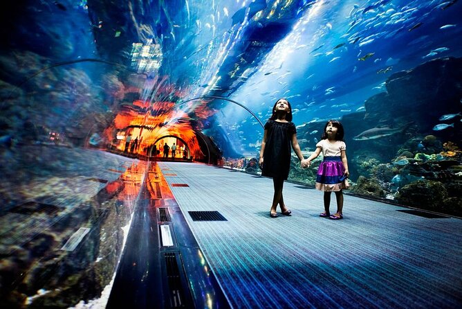 Dubai Aquarium and Underwater Zoo - Ticket Inclusions and Pricing