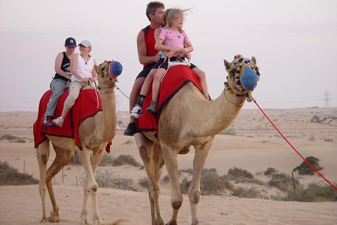 Dubai Desert Safari With BBQ Dinner, Camel Ride, Sandboarding Etc - Additional Activities