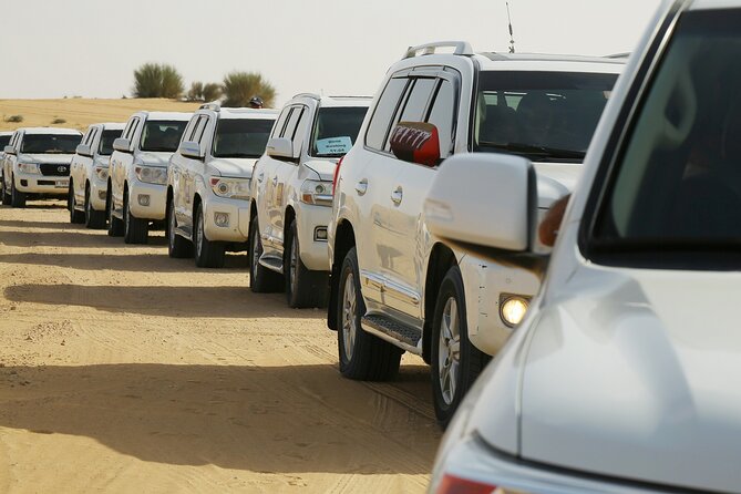 Dubai Desert Safari With Belly Dance, Fire Show and Tanura Show-The Full Package - Camel Ride in the Desert