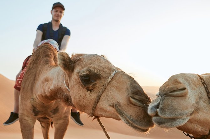 Dubai Red Dune Safari With Quad Bike, Sandboard & Camel Ride - Activity Details