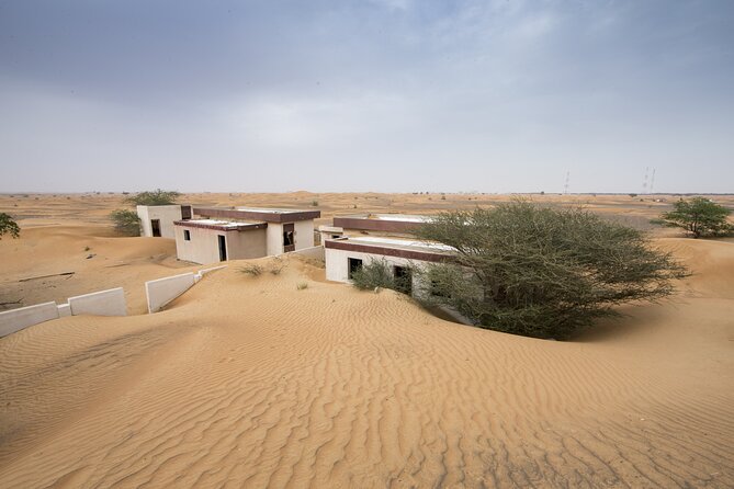 Dubai Red Dunes Morning Desert Safari Dune Bashing Camel Ride - Itinerary Highlights