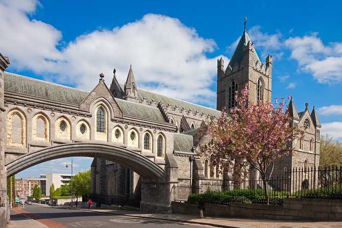 Dublin Skip the Line Full Day Highlights With Top Attractions - Explore the Guinness Storehouse