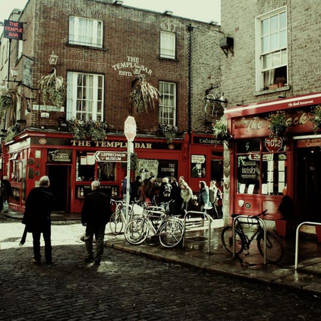 Dublin: Temple Bar Self-Guided Murder Mystery Tour (English) - Experience Highlights