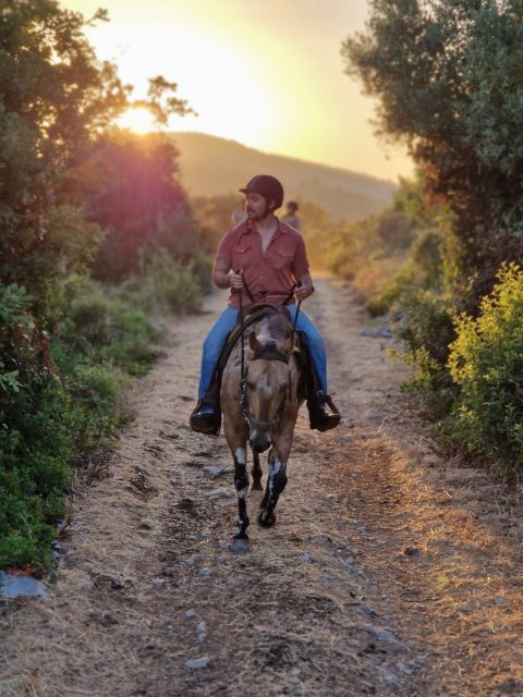 Dubrovnik Kojan Koral: Horseback Riding - Explore Konavle Valley