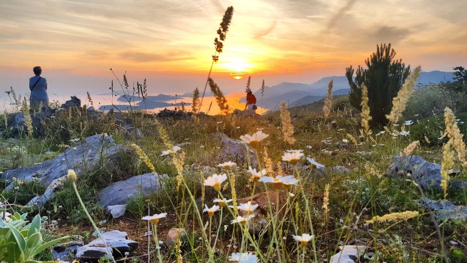 Dubrovnik: Sunset Panorama Tour With Glass of Wine - Itinerary and Highlights