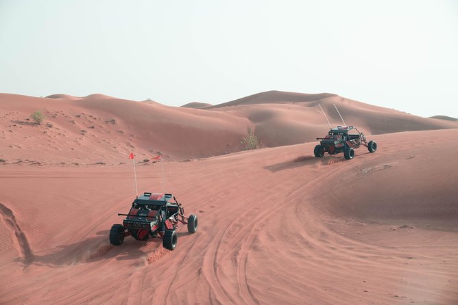 Dune Buggy & Private Dinner in the Dunes in Mleiha National Park - Exhilarating Desert Exploration