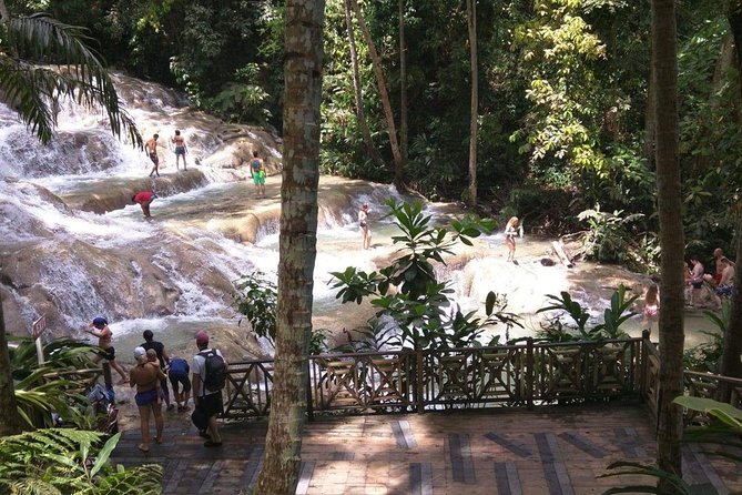 Dunns River Falls and Beach From Ocho Rios Jamaica - Transportation and Pickup Details