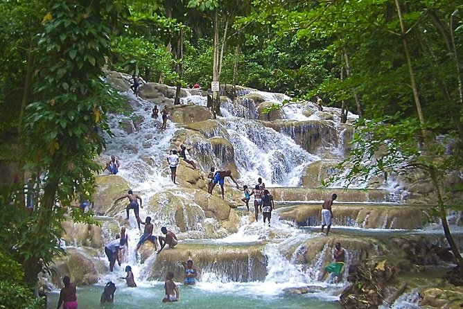 Dunns River Falls Plus River Tubing Adventure on the Rio Bueno Private Tour - Inclusions