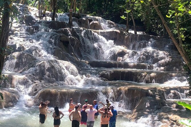 Dunns River Falls, Zipline Adventure From Kingston - Inclusions