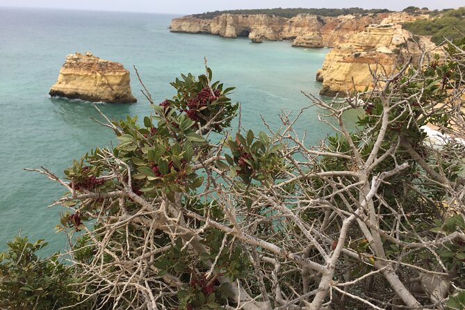 E-Bike Tour: Sete Vales Suspensos Trail (Marinha and Benagil) - Meeting and End Point