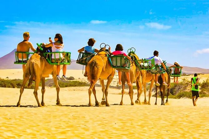 E-Scooter Tour Optional Camel Ride : Maspalomas Dunes & Meloneras - Camel Ride Details