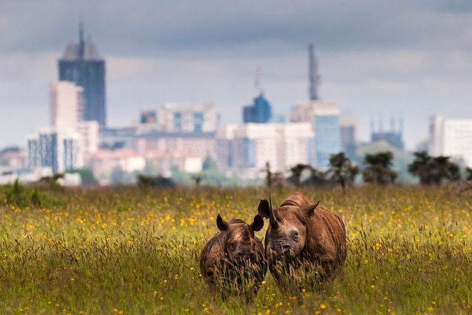 Early Morning Half Day Mini Safari To Nairobi National Park - Inclusions