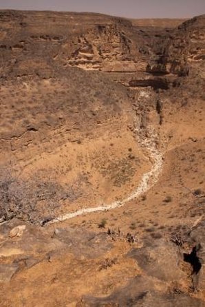 East & West Salalah Combination Tour - Darbat Waterfall, Mughsail - Wadi Darbat Waterfall