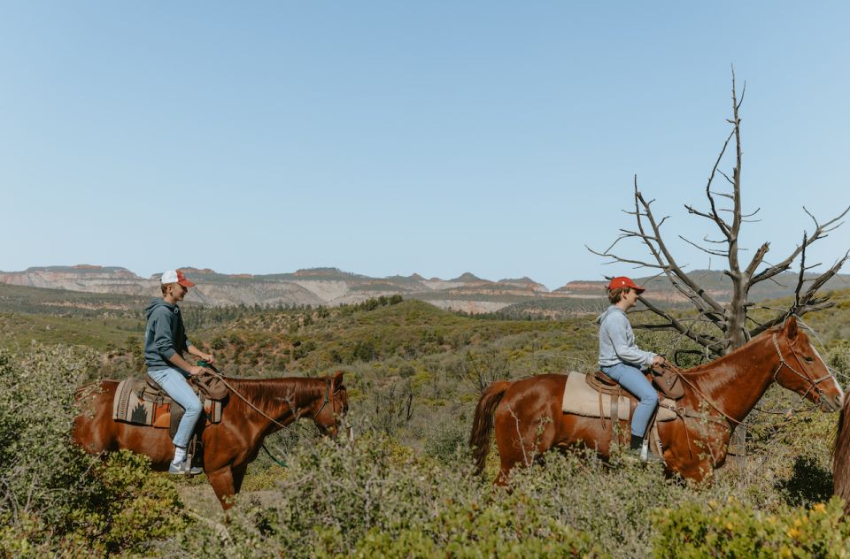 East Zion: Pine Knoll Horseback Tour - Experience Highlights