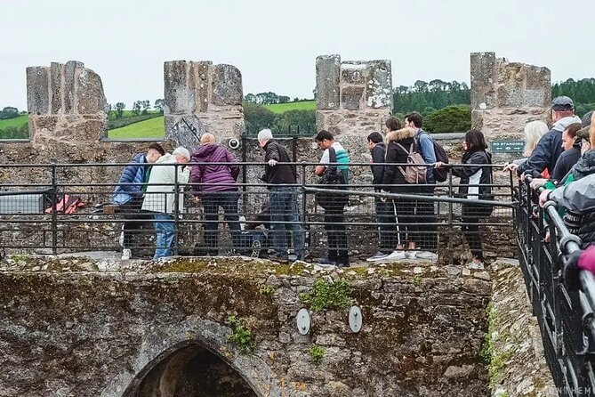 Easy Access Blarney Stone and Castle Gardens Tour - Meeting and End Point