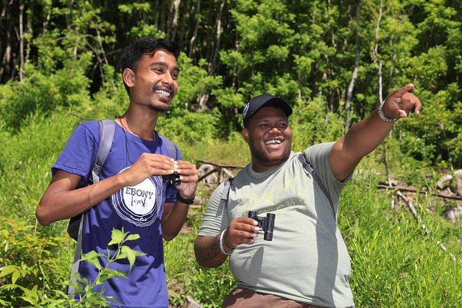 Ebony Forest Reserve Chamarel: Endemic Birdwatching Guided Tour - Inclusions and Amenities