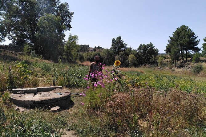 Educational Visit of a Certified Organic Micro Farm in Trancoso - Meeting and Pickup Location