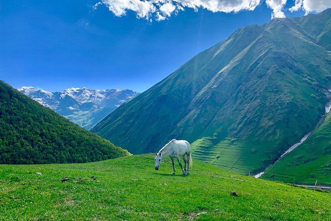 ️Private Full-Day Tour to Mtskheta and Kazbegi(Stepantsminda) From Tbilisi - Highlights of the Day