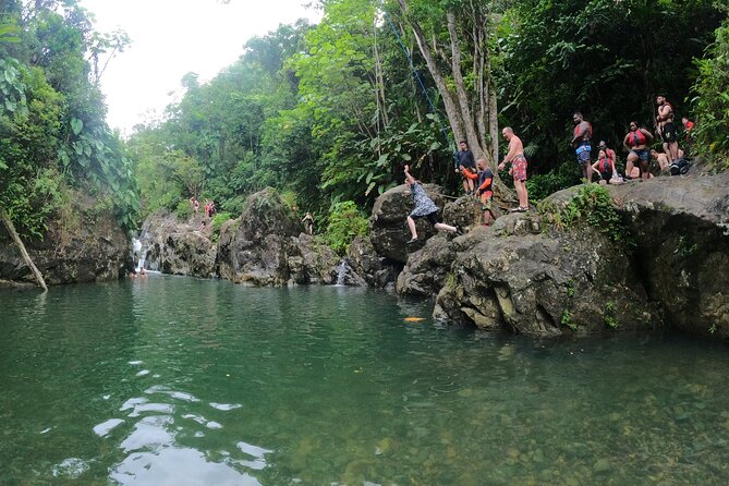 El Yunque Guided Waterfall Experience With Transport - Inclusions of the Tour