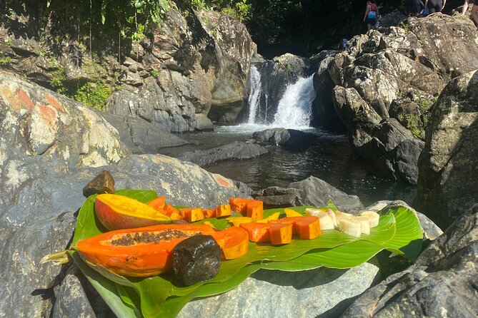 El Yunque Rainforest Morning River and Hike Adventure - Traveler Experiences