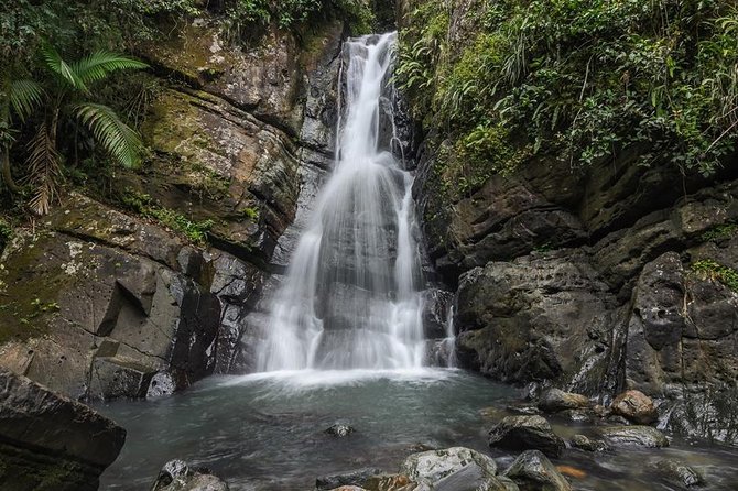 El Yunque Rainforest Tour With Transport From San Juan Area - Requirements for Participants