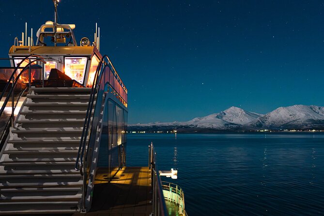 Electric Northern Lights Cruise - Inclusions and Amenities