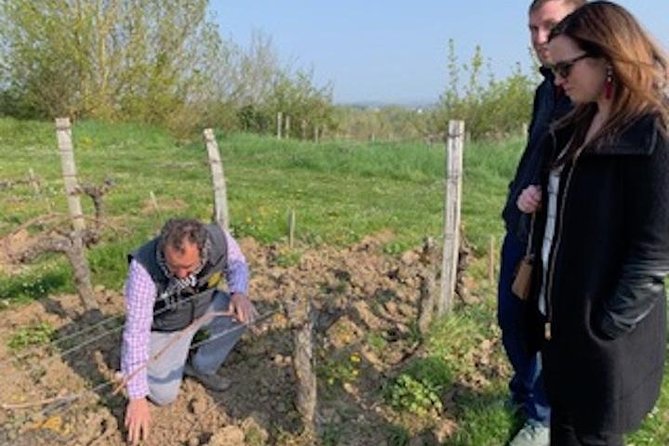 English Speaking Loire Winery Tours Originating From Chinon - Tour Highlights