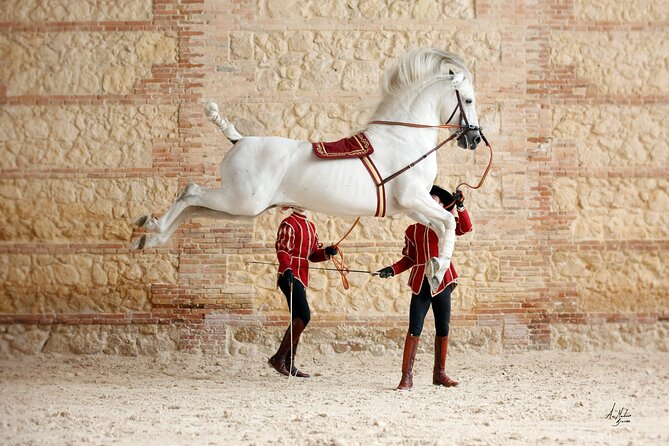 Equestrian Show Royal Stables of Córdoba - Cancellation and Refund Policy