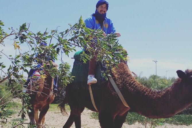 Essaouira: 3-Hour Camel Tour - Included Experiences