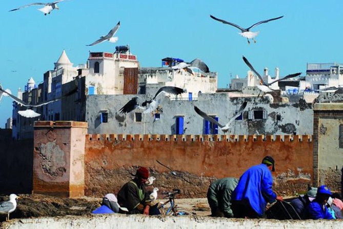 Essaouira Tour From Marrakech Shared Small-Group - Inclusions and Logistics