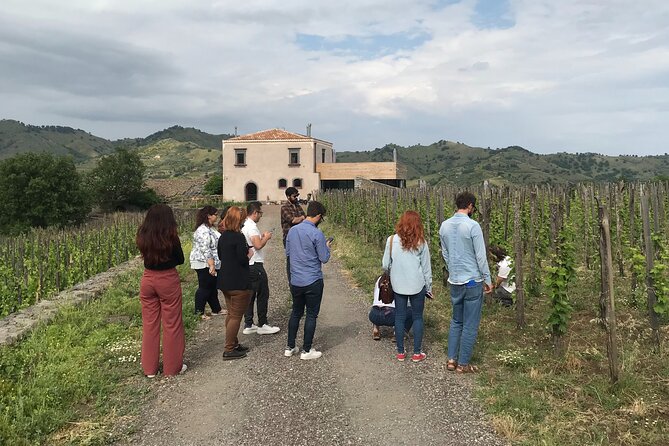 Etna Wineries Tour - Small Groups From Taormina - Highlights of the Tour