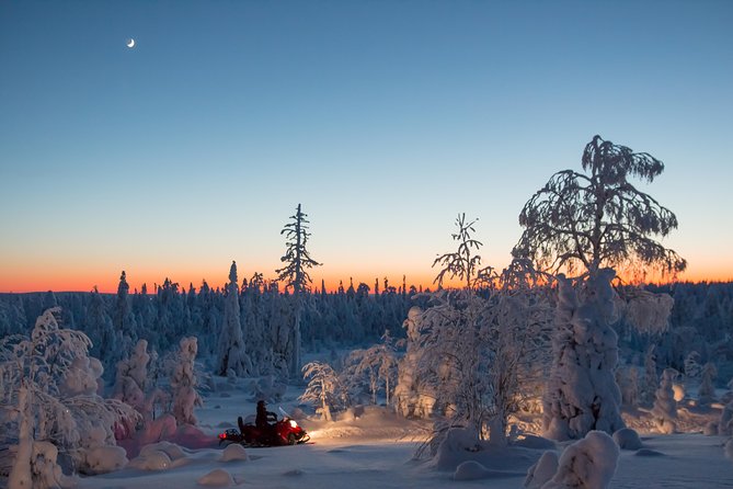 Evening Escape - Snowmobile Safari and Campfire in Rovaniemi - Included in the Experience