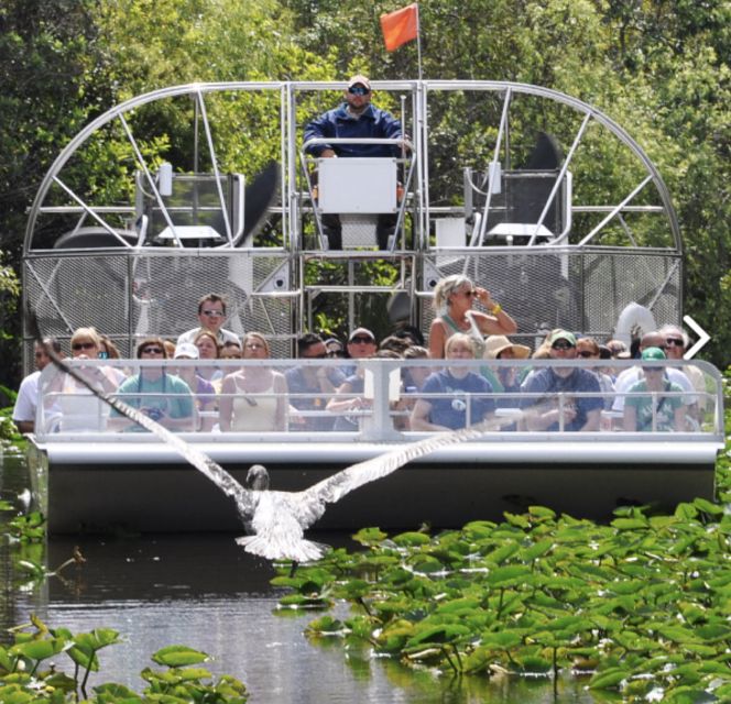 Everglades Airboat Ride & Guided Hike - Itinerary Highlights