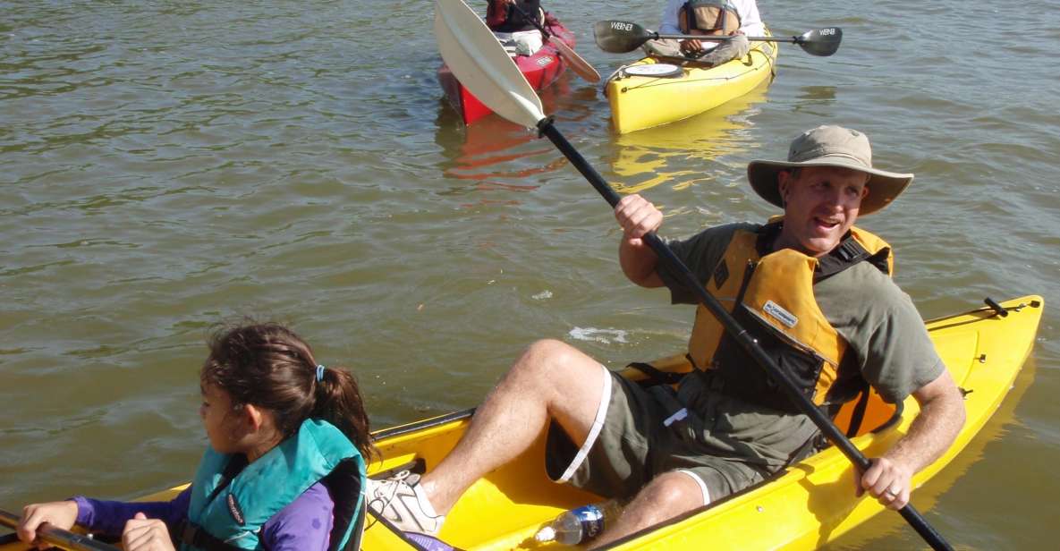 Everglades National Park 3-Hour Kayak Eco Tour - What to Expect During the Tour