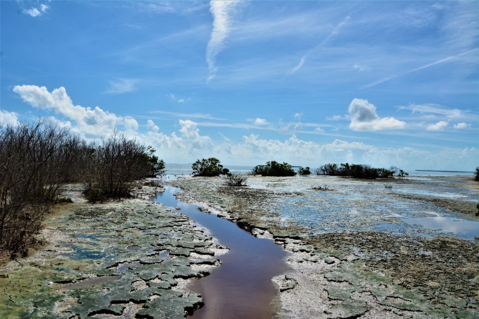 Everglades National Park: Self-Guided Driving Audio Tour - Everglades National Park Experience