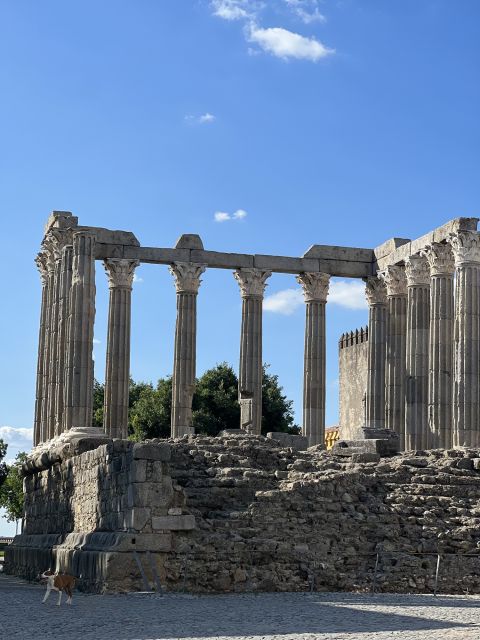 Évora: Ancient Roman Temple & King's Christ Tour - Duration and Availability