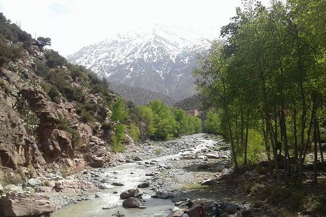 Excursion to the Valley of Ourika Atlas Mountain and Berber Villages - Exploring the Atlas Mountain