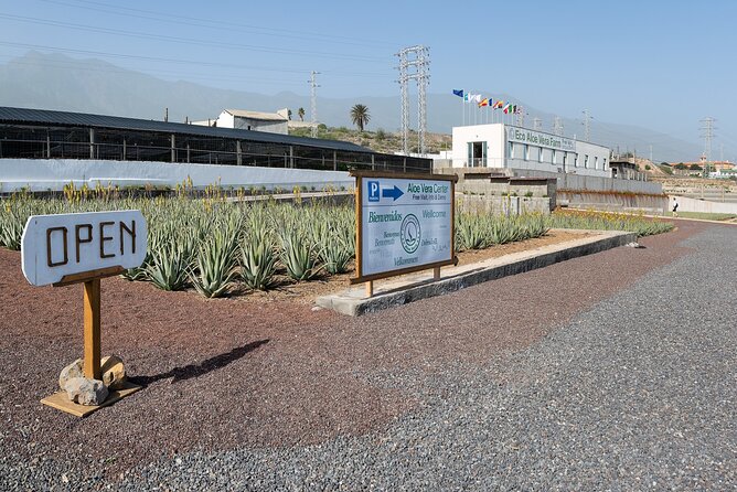 Excursion Visiting Wineries in Tenerife With Lunch - Inclusions and Amenities