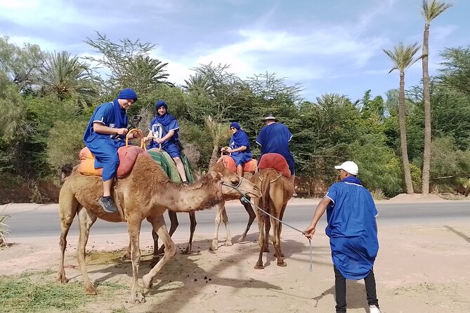 Experience Camel Ride Sunset or Anytime - Included Services and Amenities