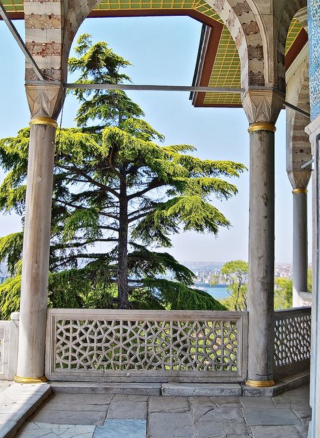 Experience Istanbul: Topkapi Palace Half-Day Guided Tour - Tour Highlights