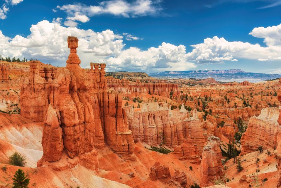 Explore Bryce Canyon: Private Full-Day Tour From Salt Lake - Highlights of Bryce Canyon