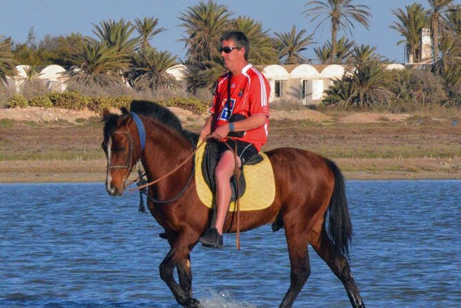 Explore Djerba With Our Four-Legged Friends - Guided Tour Details