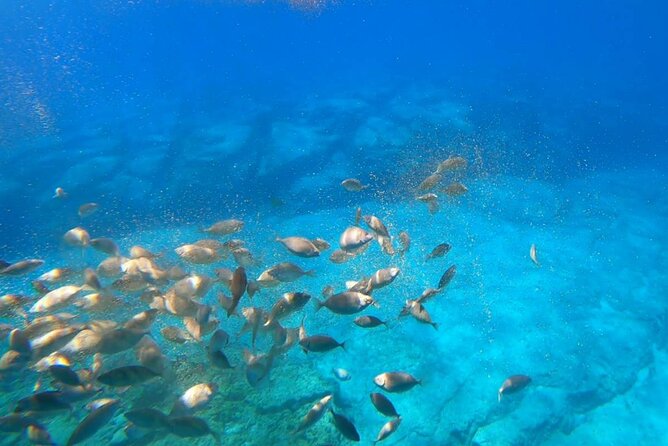 Explore Lindos and Swim in Navarone Bay - Exploring Navarone Bay