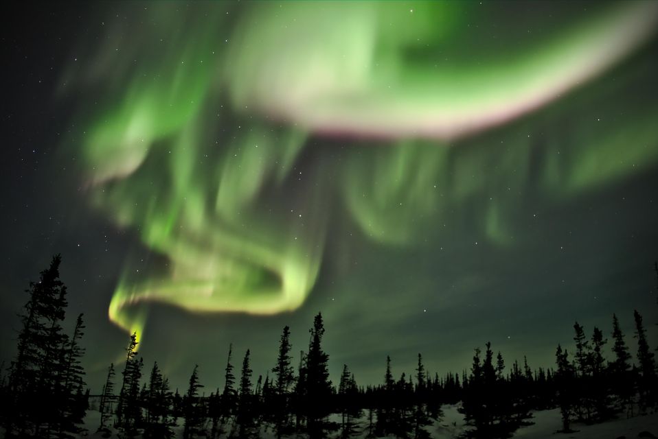 Exploring the Northern Lights by Car - Selecting the Ideal Tour