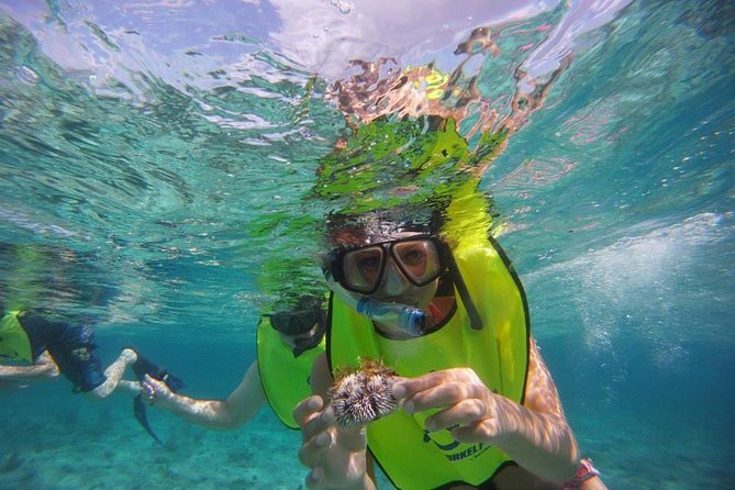 Fajardo Afternoon Snorkeling Adventure Tour - Tour Restrictions