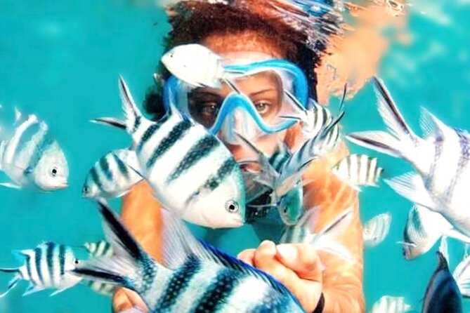 Family Fun-Snorkeling Activity in Montego Bay W/Lunch Stop - Tour Details Breakdown