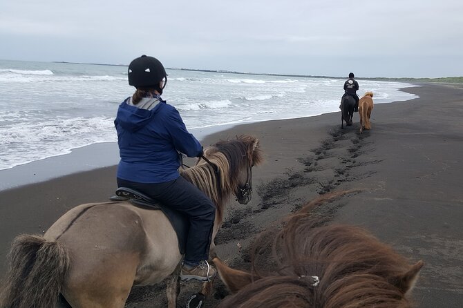 Family Horse Riding Tour in Thorlakshofn - Included Amenities