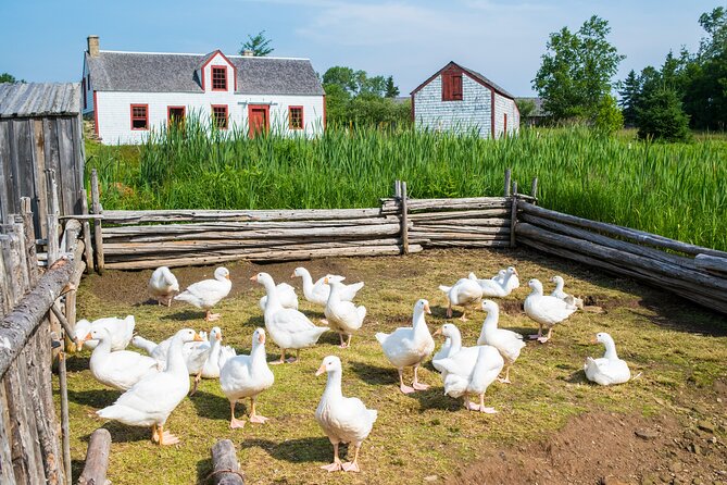 Family Visit to the Acadian Historic Village - Opening Hours and Dates