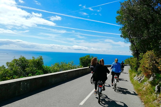 Fantastic Villefranches Bay & Cap-Ferrat E-Bike Tour From Nice - Accessibility Considerations